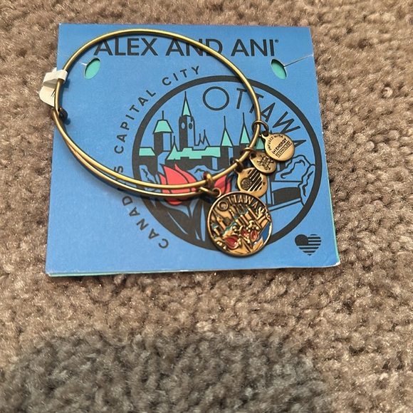 Ottawa Charm Bangle Alex and Ani - Picture 4 of 4